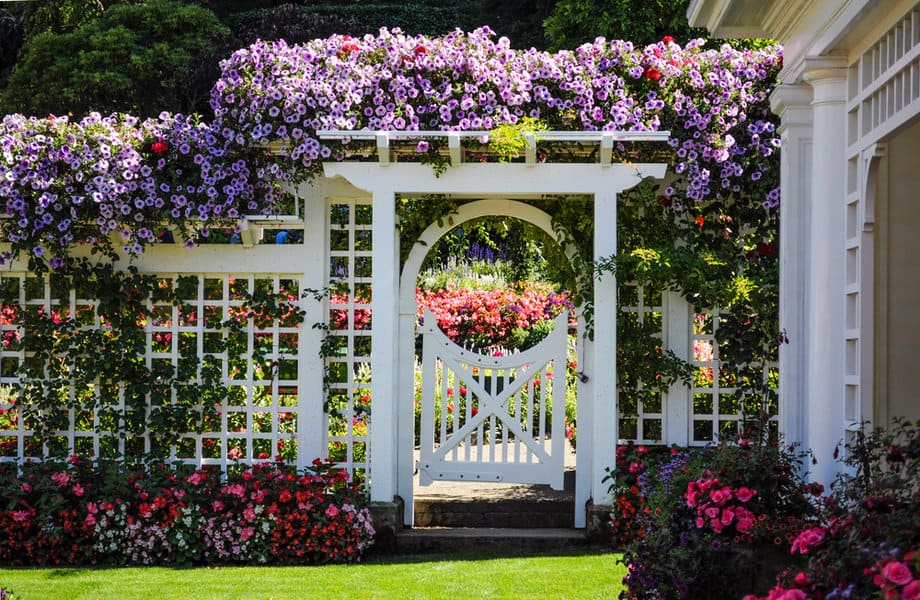 Lattice fence 