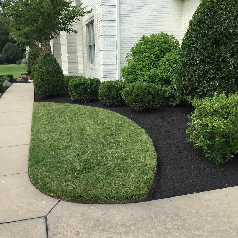 Elegant front yard with neatly trimmed hedges, fresh mulch, and a curved lawn bordered by a clean concrete pathway