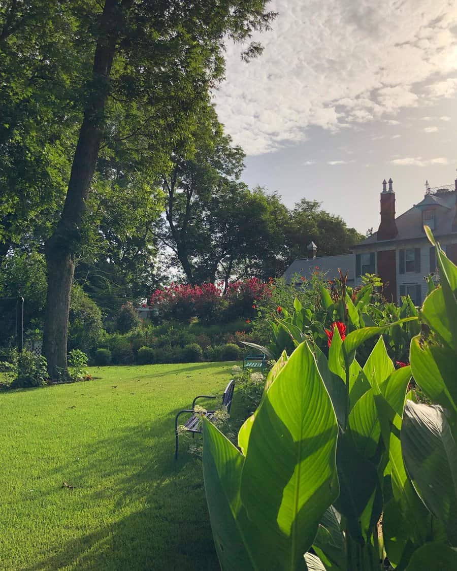 Spacious lawn with vibrant tropical plants, shaded by large trees, leading to a charming house surrounded by lush gardens under a sunny sky