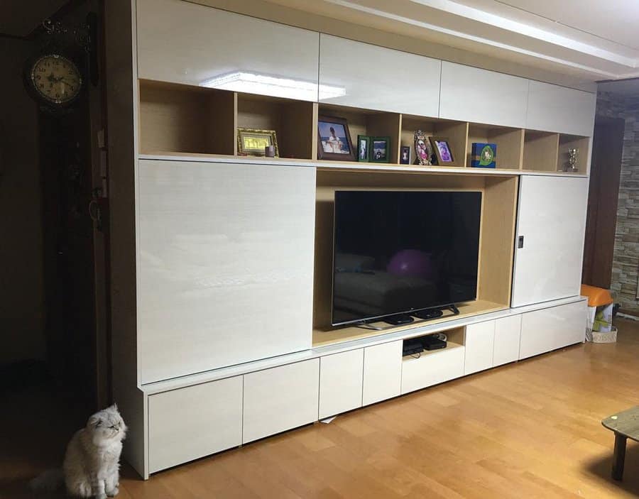 Modern living room with a sleek built-in entertainment unit featuring open shelves for books and decor, a large TV, and a fluffy cat nearby.