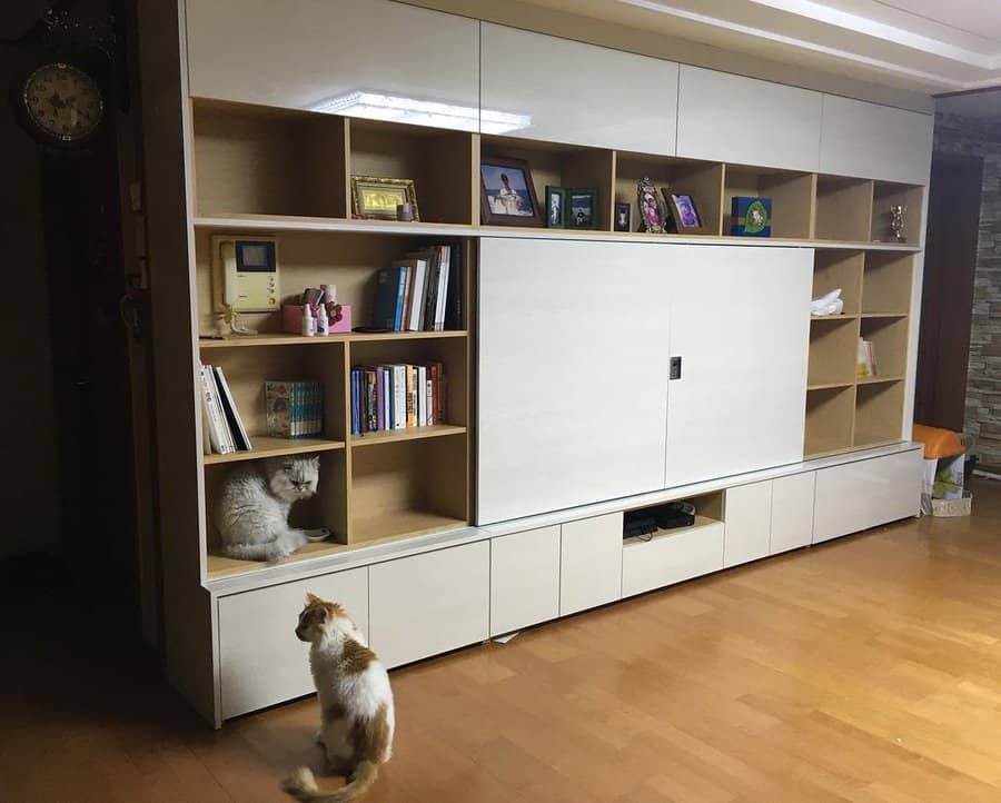 Modern living room with a sleek built-in bookshelf and storage unit, featuring books, decor, and two cats, one sitting inside a shelf.