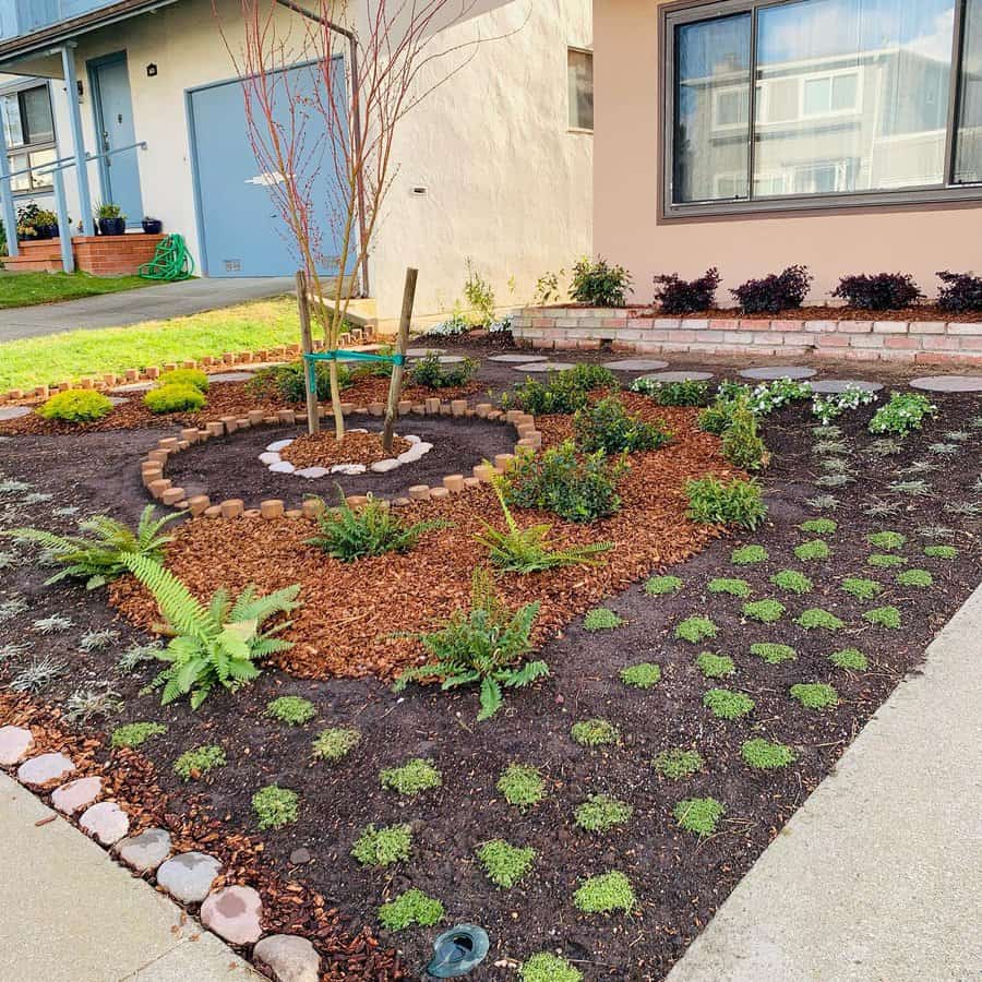 front garden with low-maintenance plants