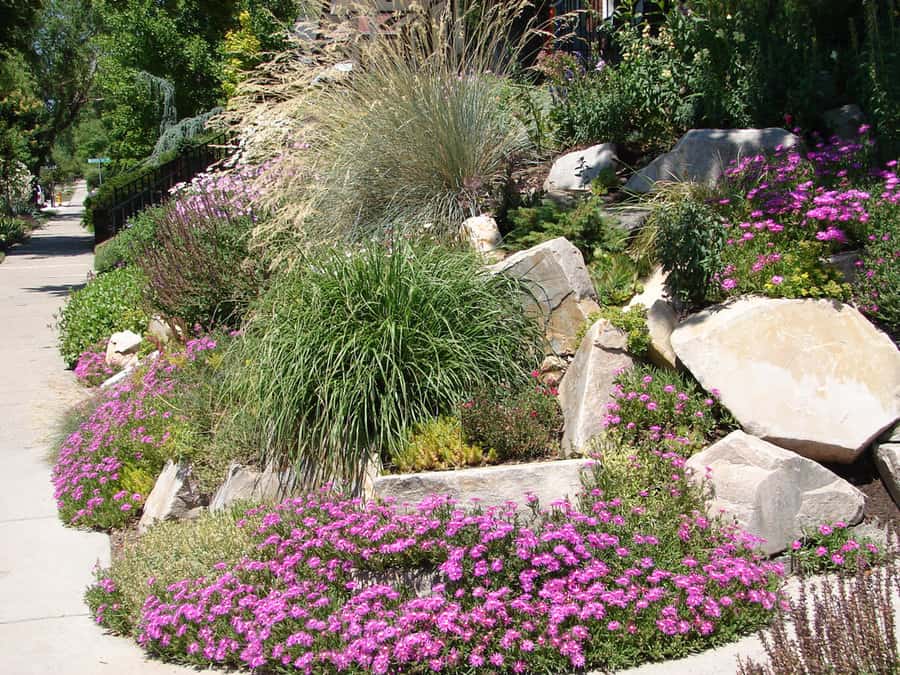 Low Maintenance Landscaping Ideas For Front Of House 3