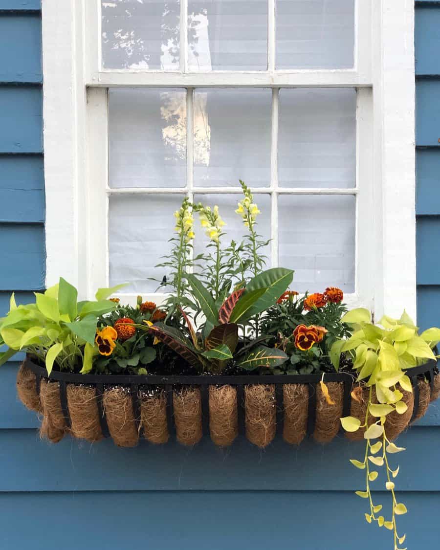 Window box arrangement on coco fiber