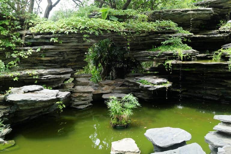 Backyard koi ponds