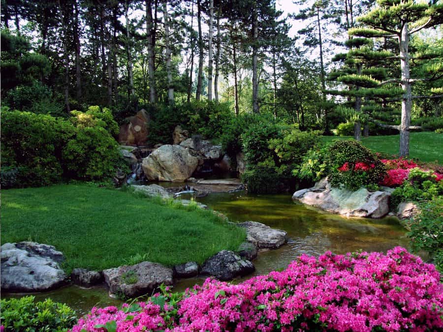 pond with wrap-around landscaping