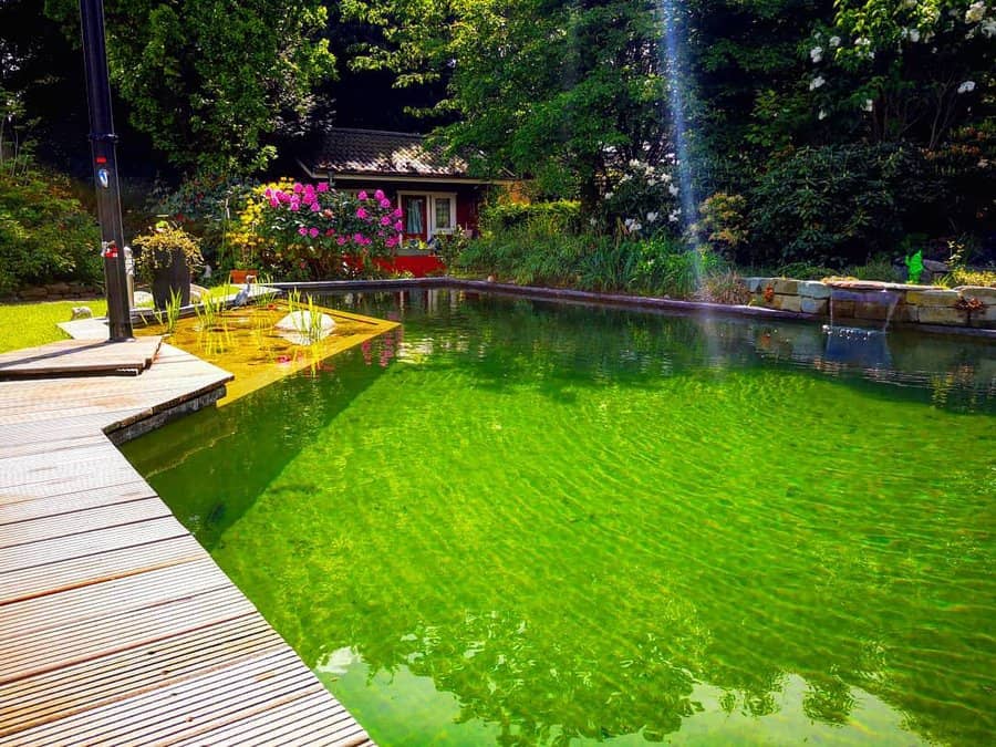 Luxury backyard ponds