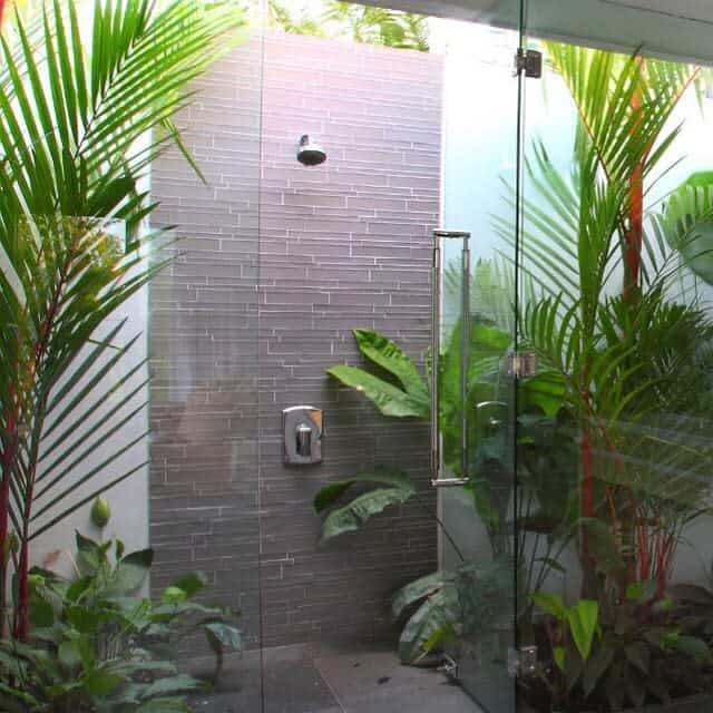 walk-in shower with plants