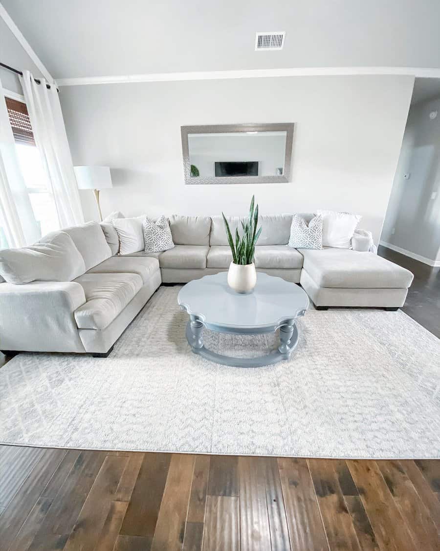 Minimalist living room with light gray sofa