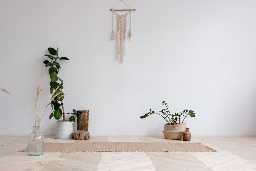 meditation room with plants 