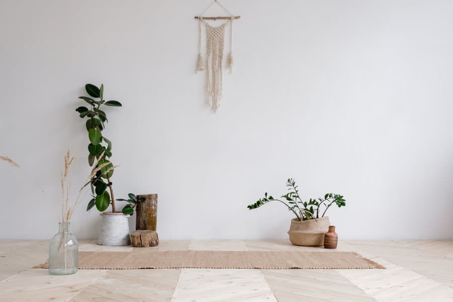 Meditation room with plants 