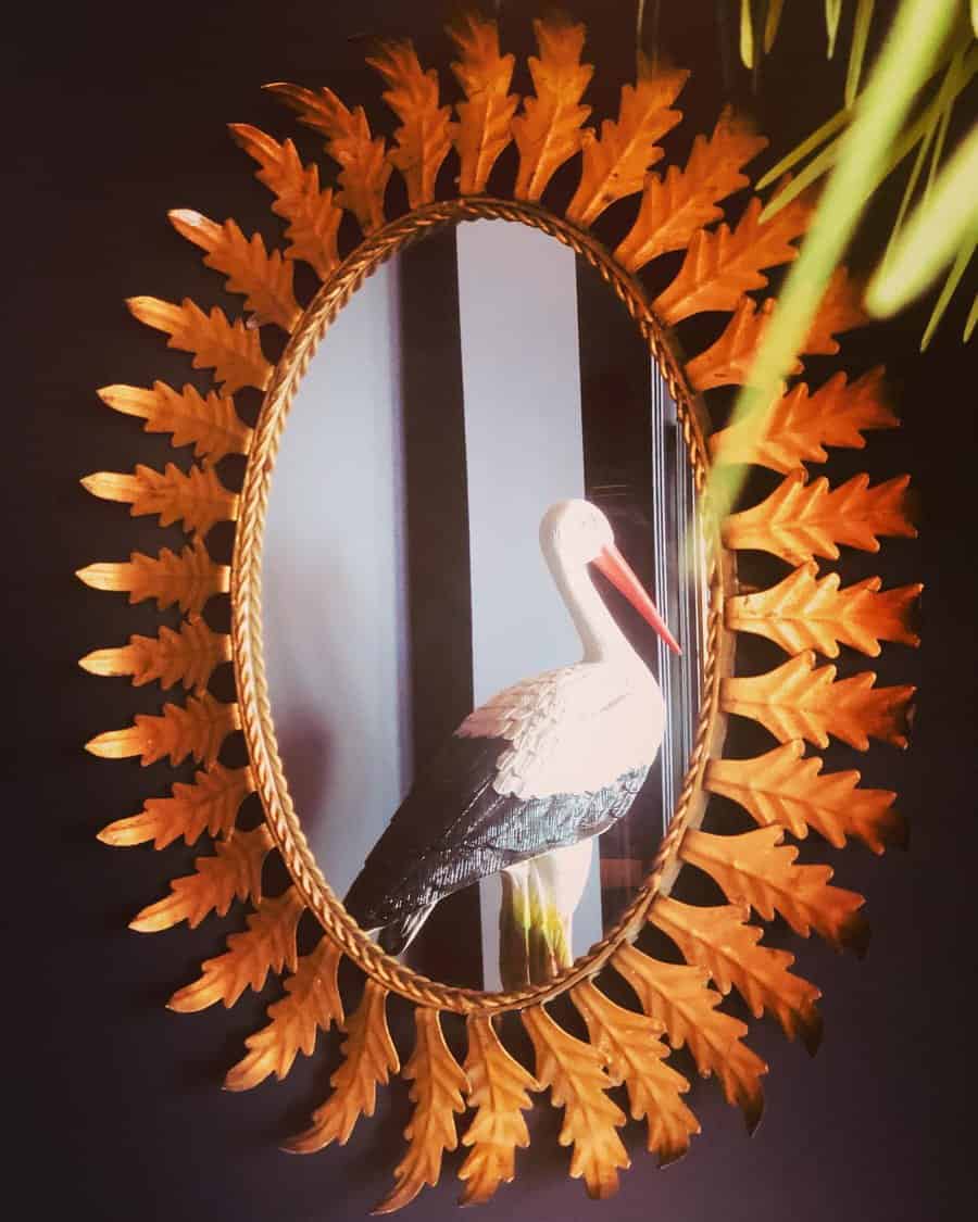 Bird image in a golden mirror