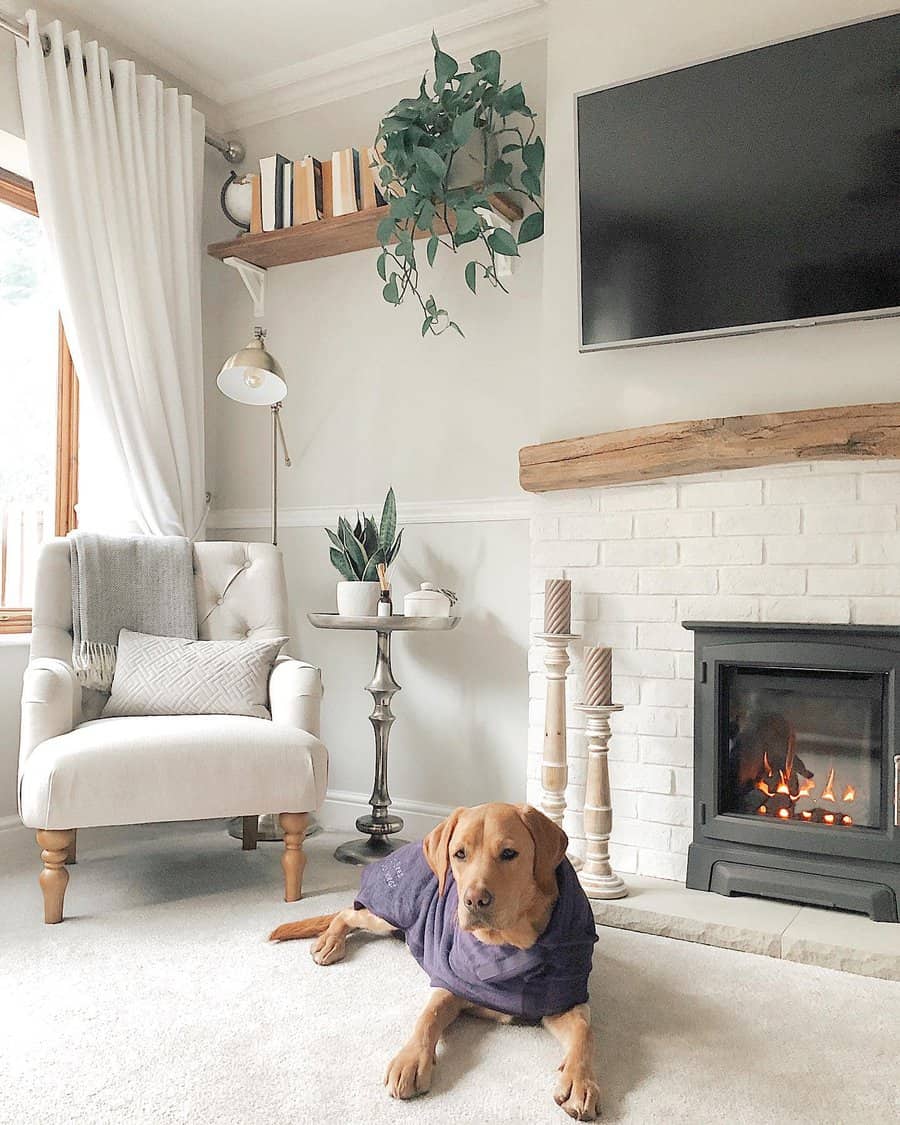 Cozy living room with fireplace and elegant armchair