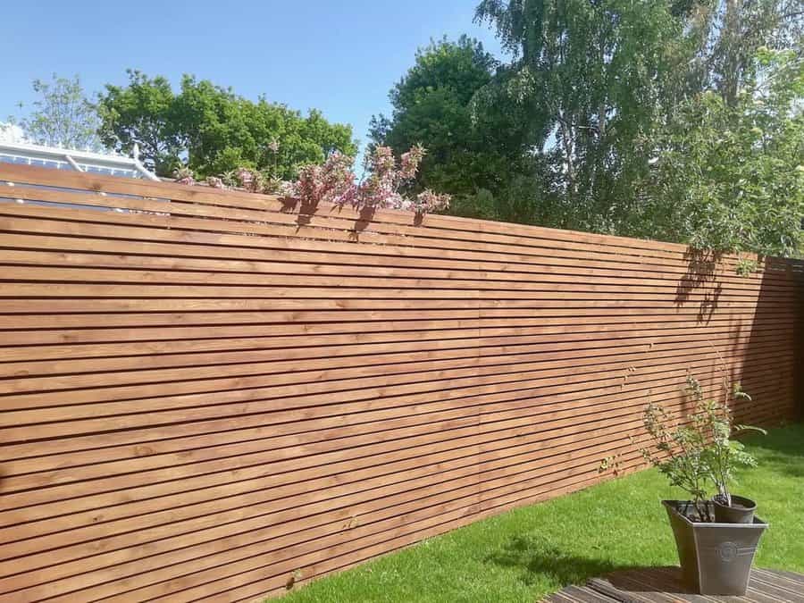 Backyard garden with wooden fence