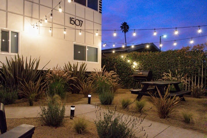 Plants in backyard with string lights