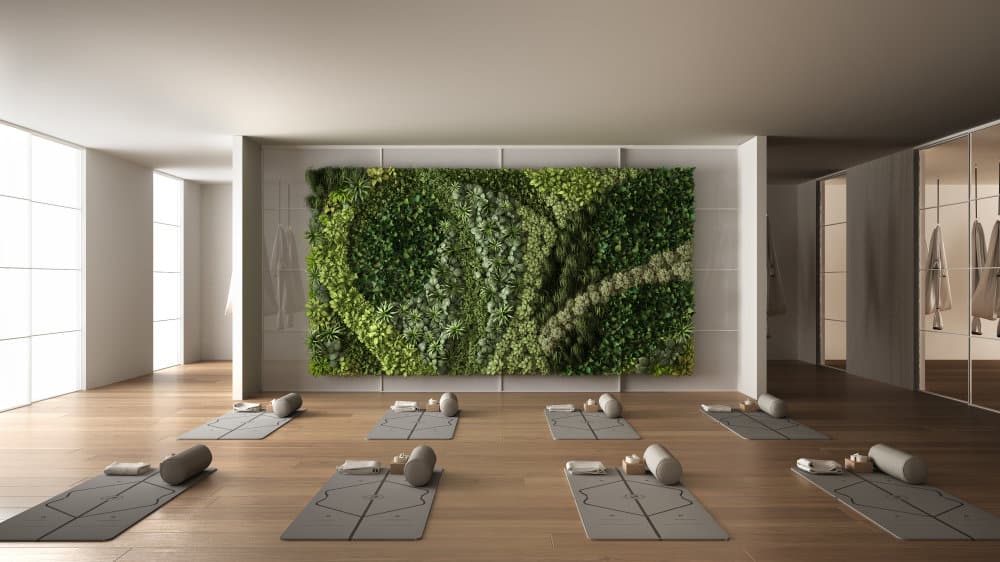 meditation room with plants 