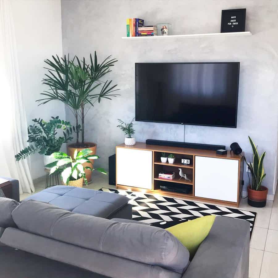 Modern living room with a wall-mounted TV, gray couch, potted plants, a patterned rug, and a small entertainment unit with decor