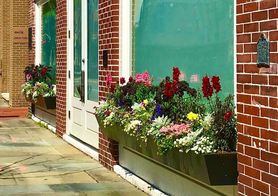 Low window box planter