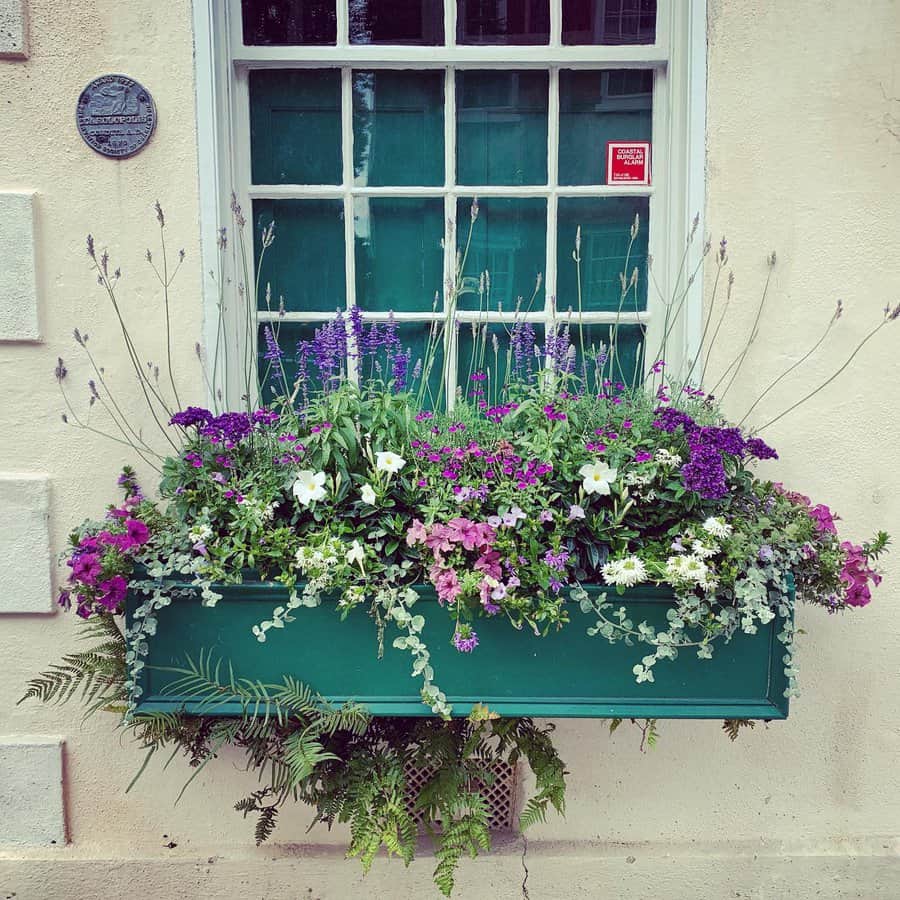 Purple window box arrangement