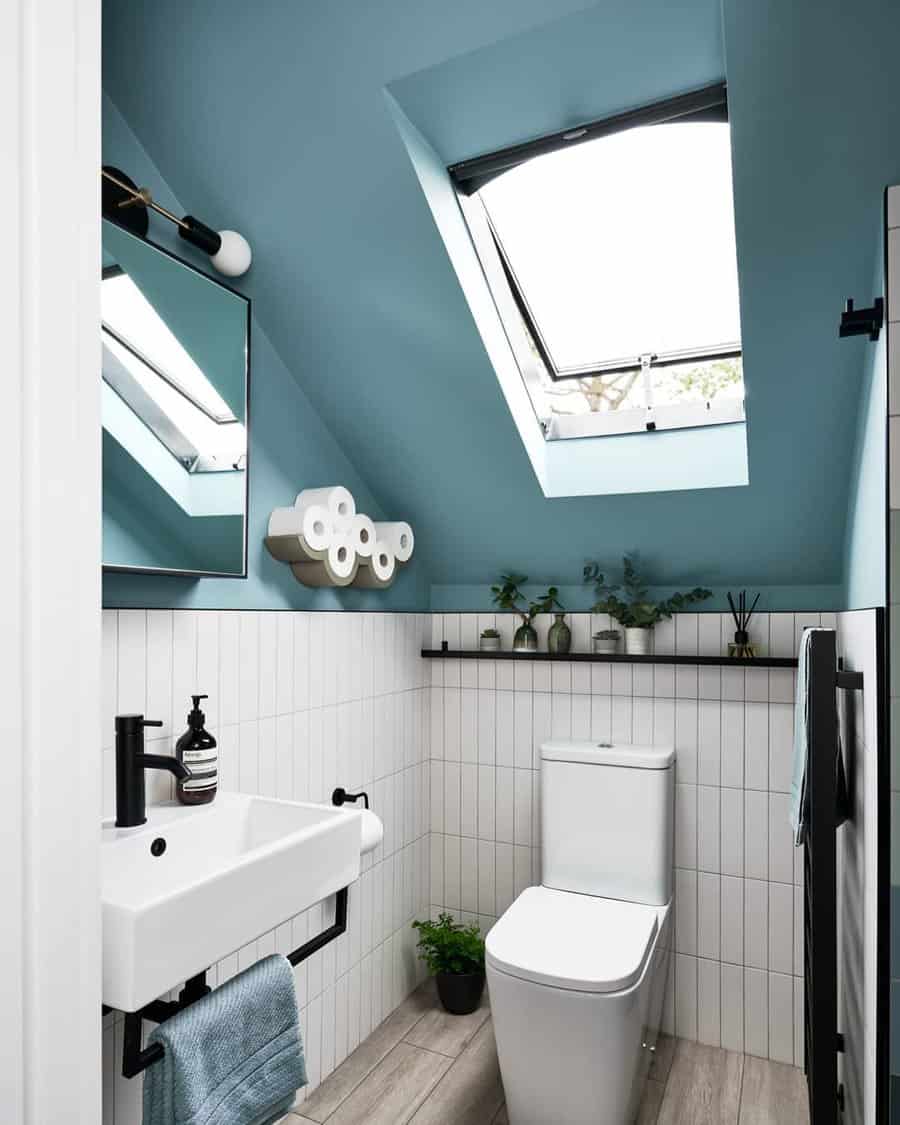 Half bathroom with skylight window