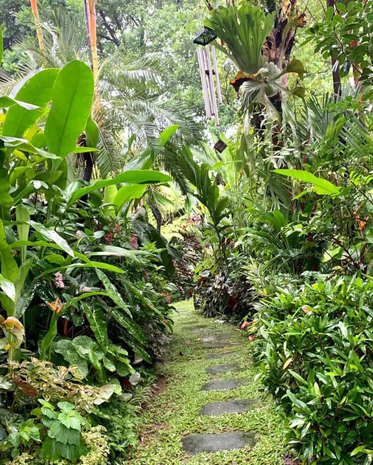 18 Tropical Garden Design Ideas