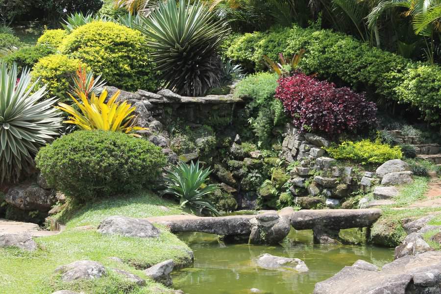 Natural Backyard Pond Ideas 4