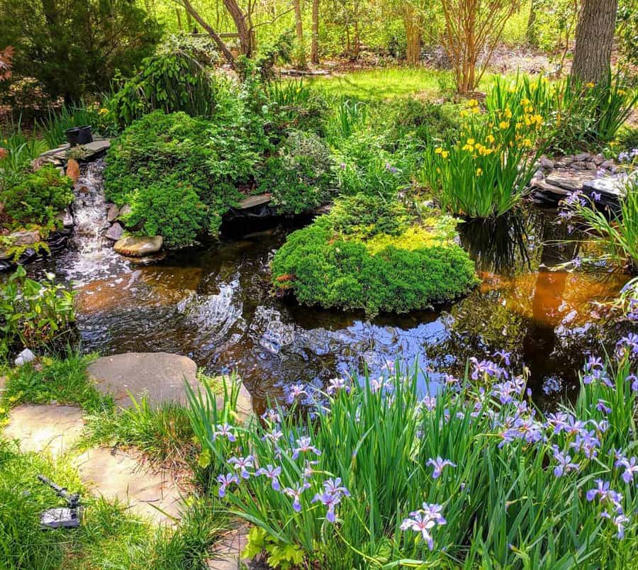 Natural looking backyard ponds