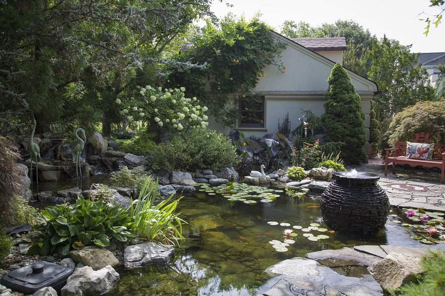 Lush garden pond with water lilies and fountain