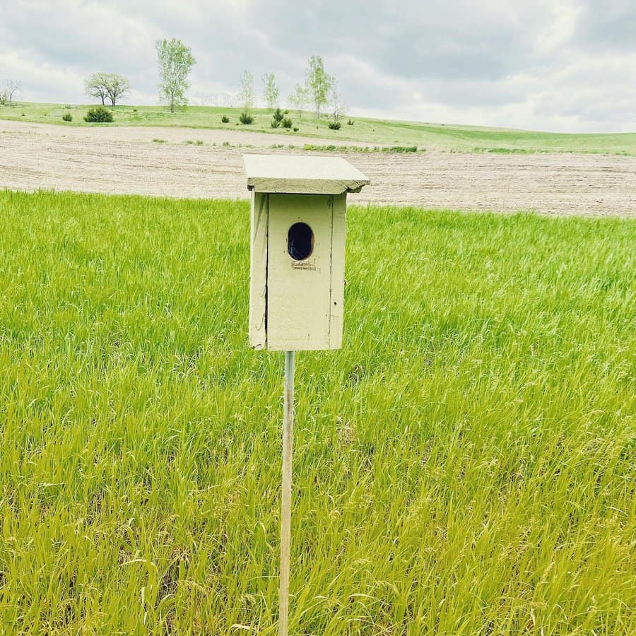 On post birdhouse