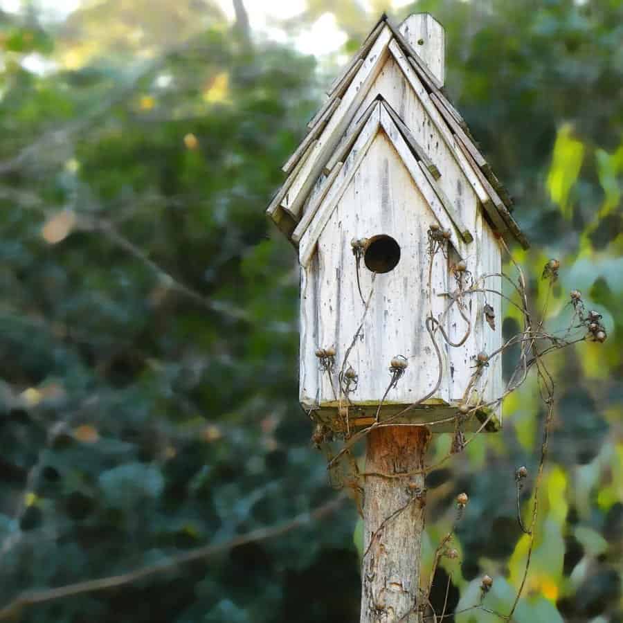 Mossy cottage birdhouse