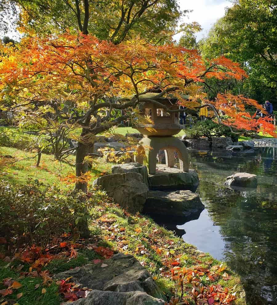 A serene garden with vibrant autumn foliage, a stone lantern by a pond, and sunlit trees creating a peaceful ambiance