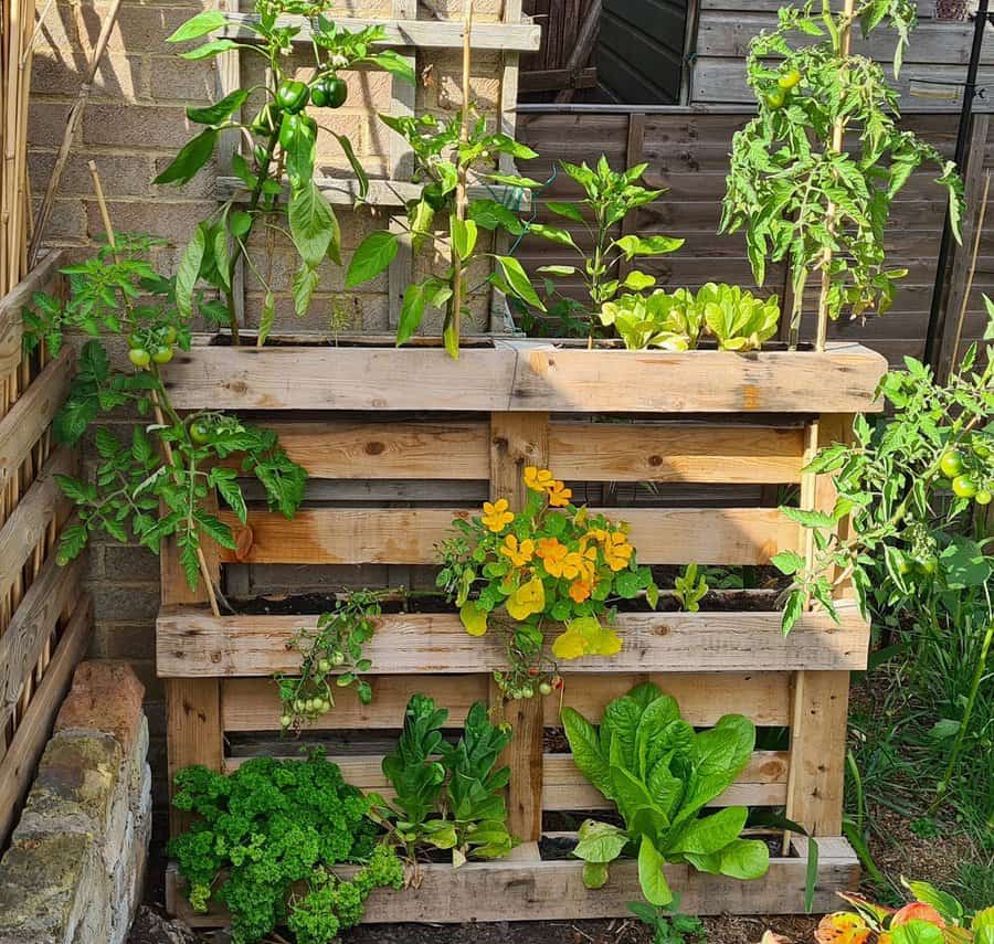 wood pallet vertical container garden
