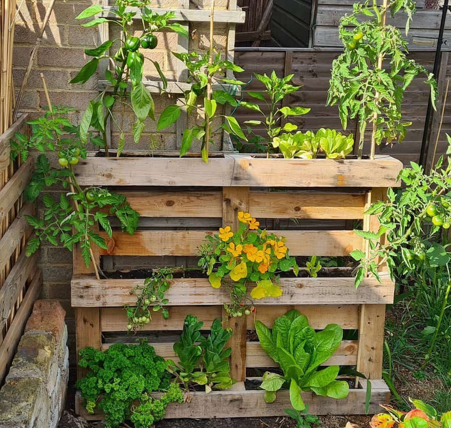 Wood pallet vertical container garden