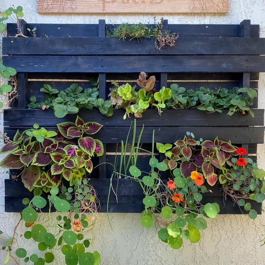 Wood pallet vertical container garden