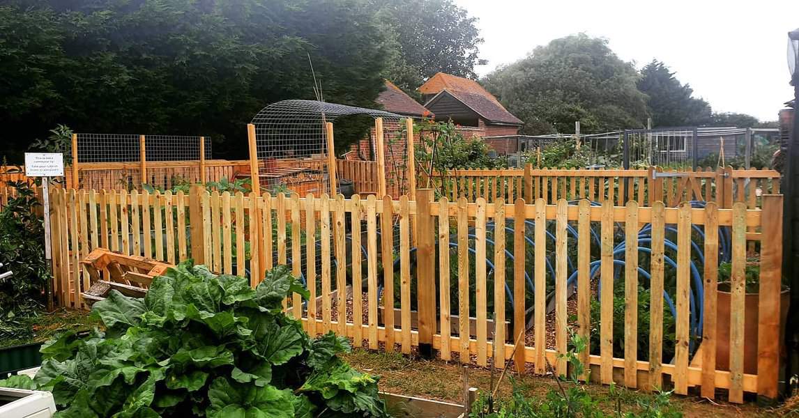 Wood pallet fence 