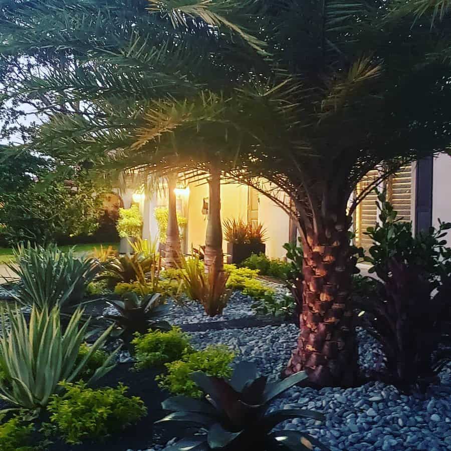 Palm tree - Florida Landscape Design
