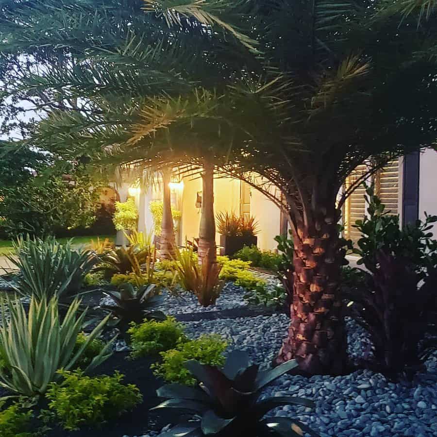 Elegant Florida front yard with illuminated palm trees, drought-friendly plants, and decorative gravel, creating a tropical yet low-maintenance nighttime oasis