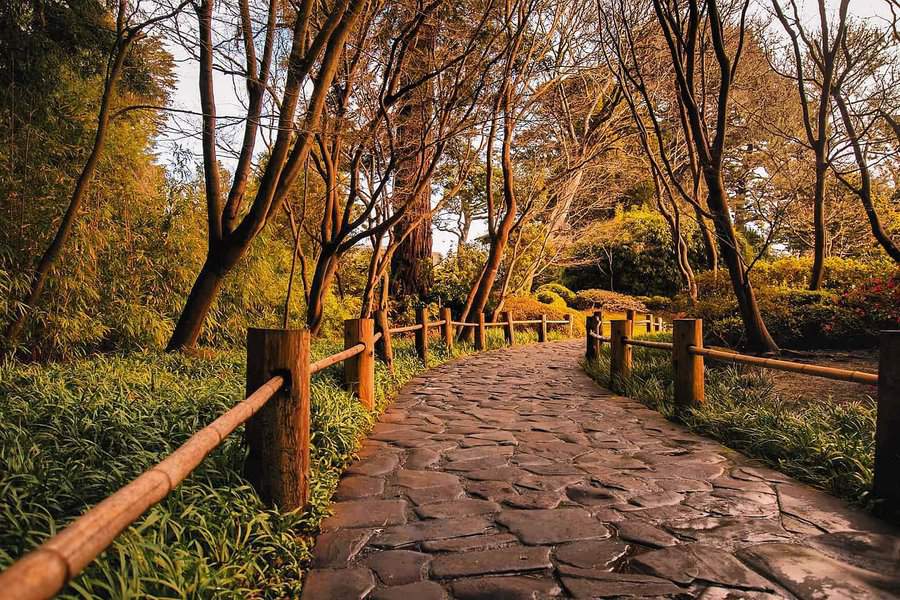 Stone path winding through a scenic autumn forest, lined with wooden fences and surrounded by tall trees and lush greenery