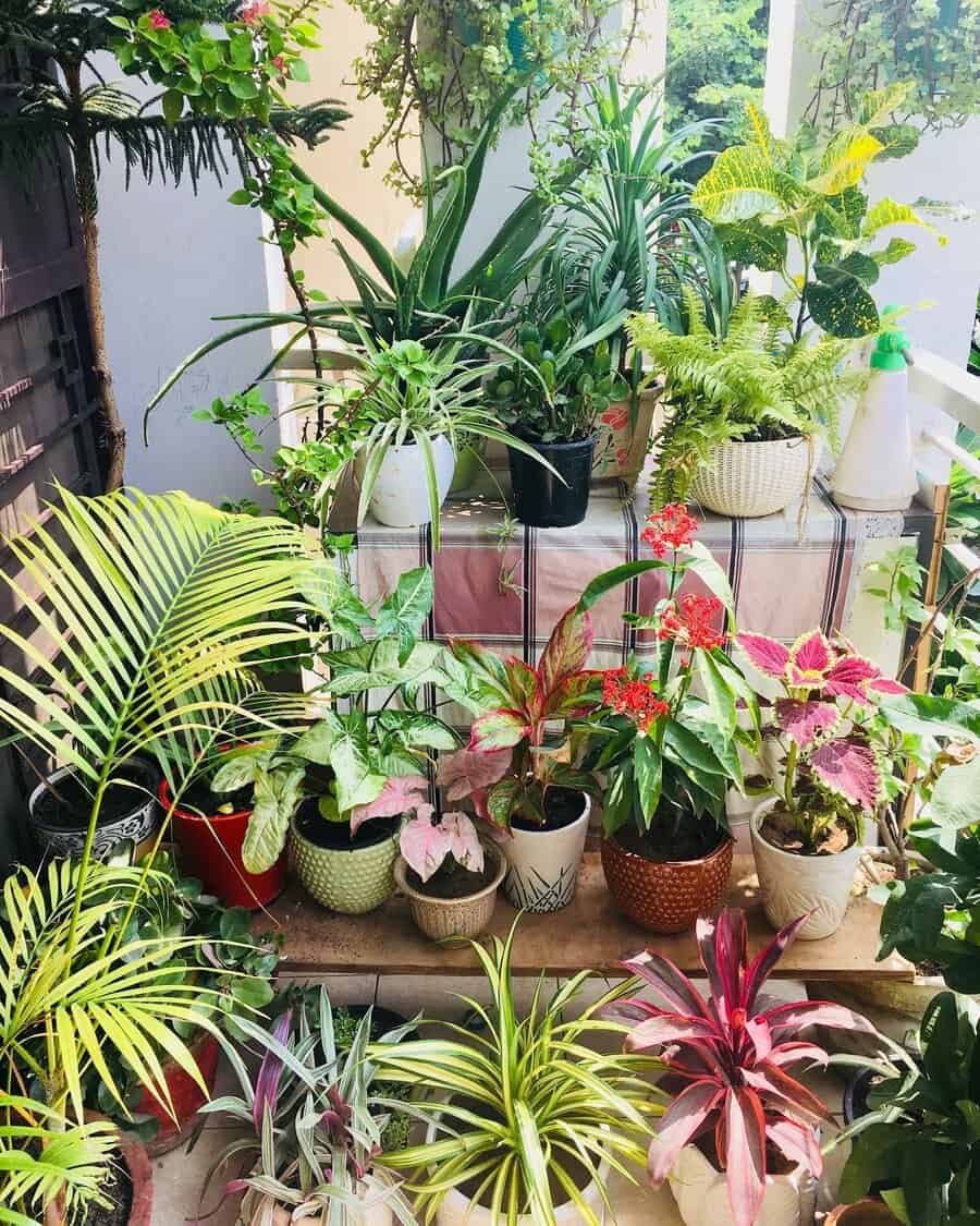 A vibrant collection of various potted plants on a balcony, with lush green leaves and colorful flowers in decorative pots