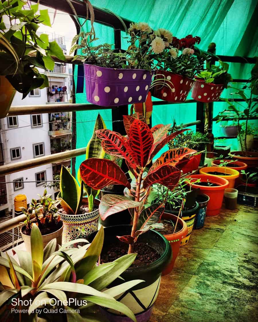 A vibrant balcony garden with various plants in colorful pots, arranged under a green canopy