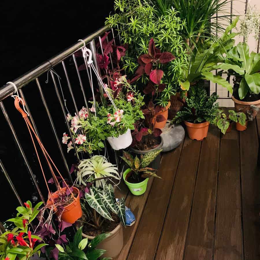 Various potted plants and hanging baskets on a wooden balcony at night, with a metal railing in the background