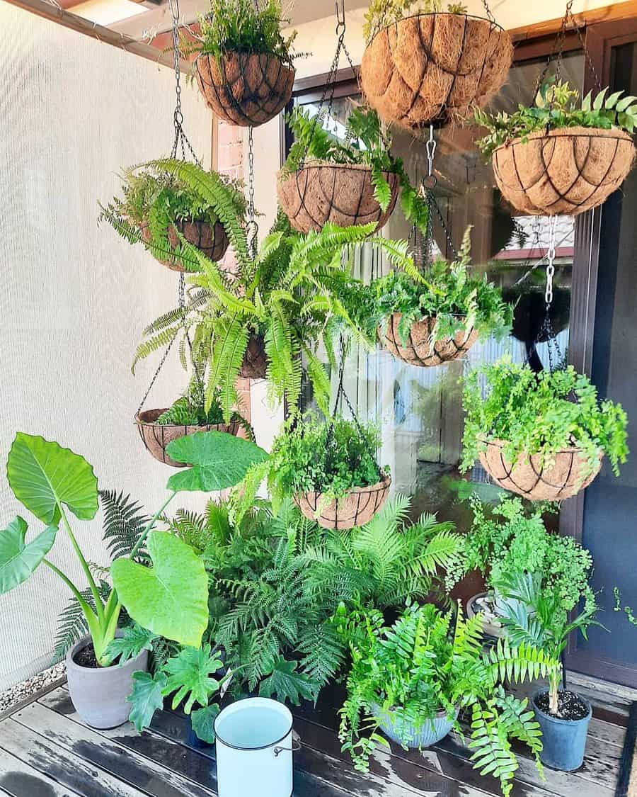 Coconut husk containers