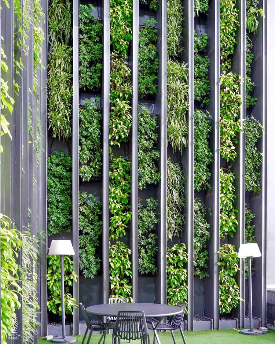 Extensive vertical garden