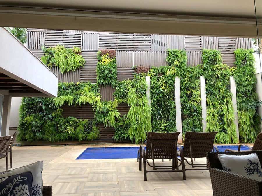 Vertical garden on a wall beside a modern outdoor pool area with wicker chairs and cushioned seating