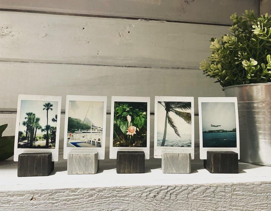 Five Polaroid photos of nature and a plane on wooden stands with a potted plant in a metal bucket on the right