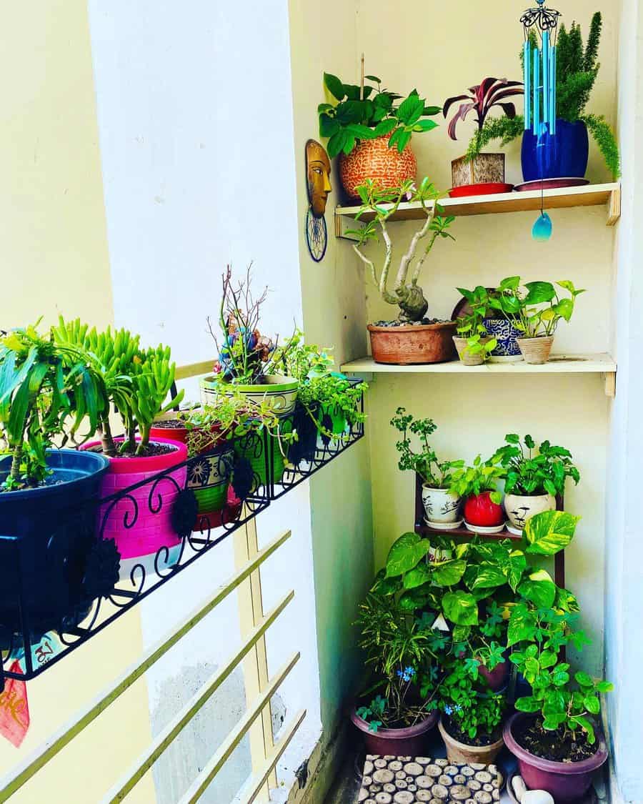 Colorful balcony garden with potted plants on shelves and a railing, featuring lush greenery, a bonsai, and a decorative wind chime