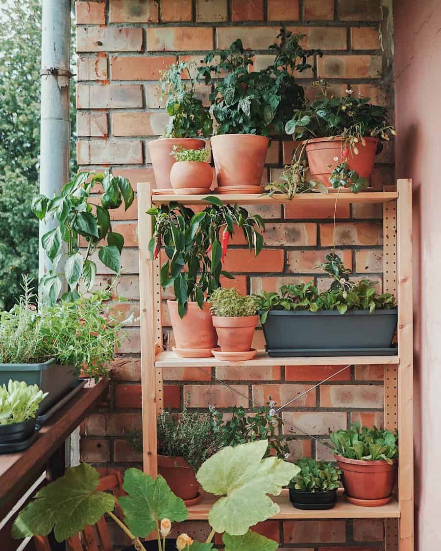 garden shelves