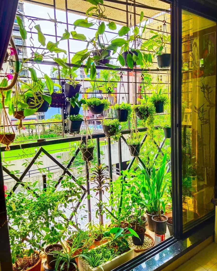 Balcony garden with hanging and potted plants, creating a lush green space next to sliding glass doors