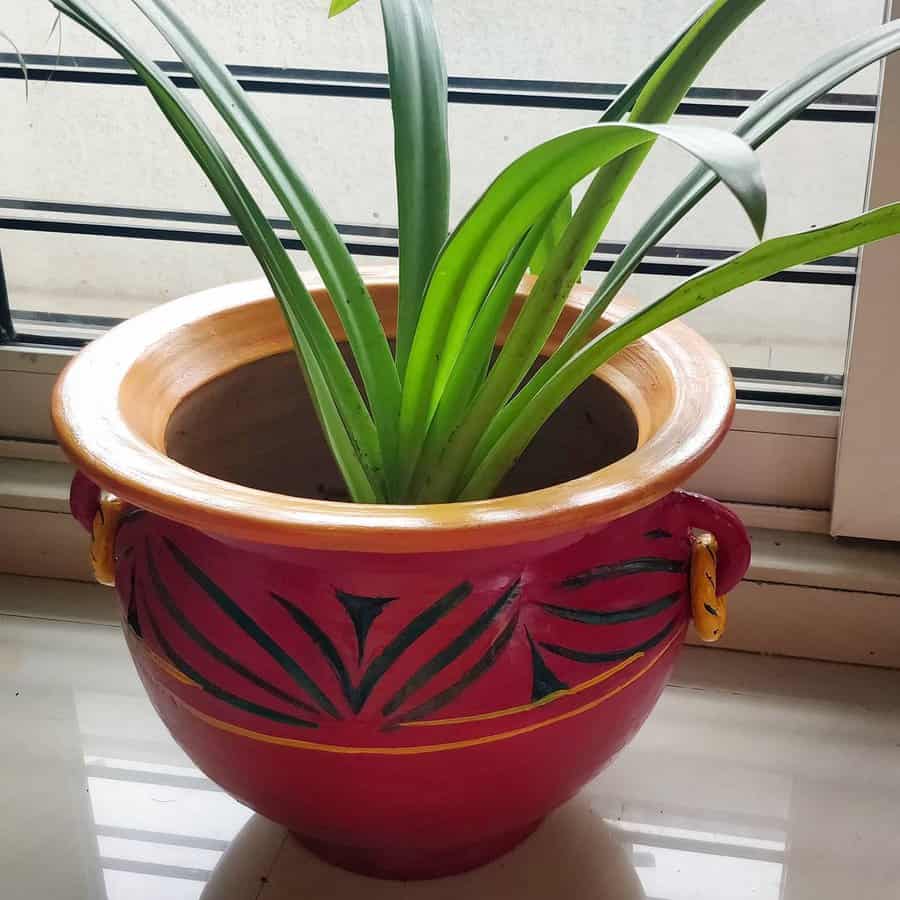 DIY painted pot