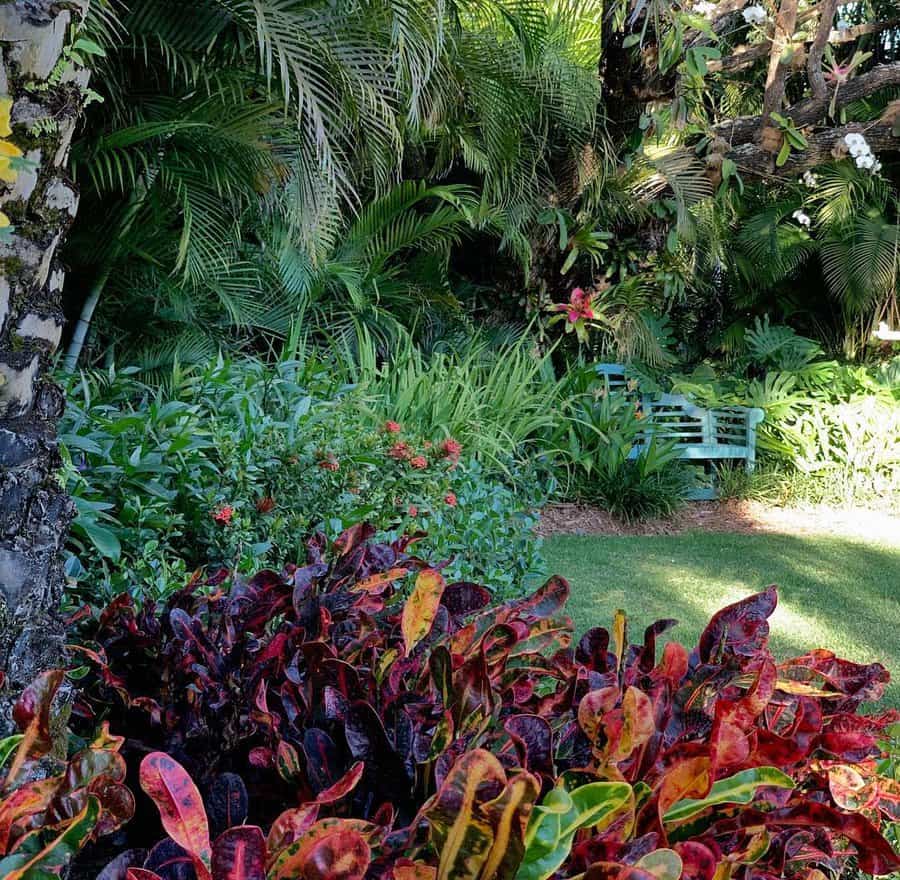 Lush Florida garden with vibrant crotons, tropical greenery, and a hidden bench nestled among palm trees, creating a private and serene outdoor retreat